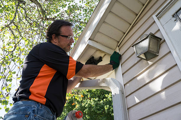 Affordable Siding Repair and Maintenance Services in Three Rivers, CA